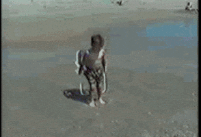 Video gif. Camcorder footage of a little boy with his tiny folding chair on the beach, scooting forward closer and closer into the surf, until he is wiped out by a huge wave.