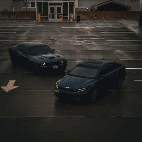 Dodge Maryland GIF