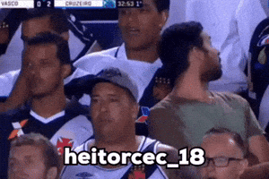 Libertadores Cruzeiro GIF
