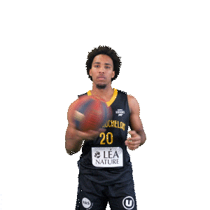 Ford Basket Sticker by Stade Rochelais