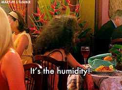 Friends gif. Courteney Cox as Monica Geller sits in a fancy restaurant. Her hair is abnormally frizzy and curly. She looks up and throws her hands up in frustration as she says, “It’s the humidity.”