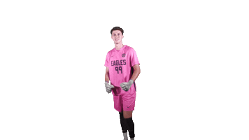 Goalkeeper Goalie Sticker by Carson-Newman Athletics