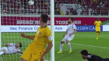 Celebrates Hands Up GIF by Football Australia