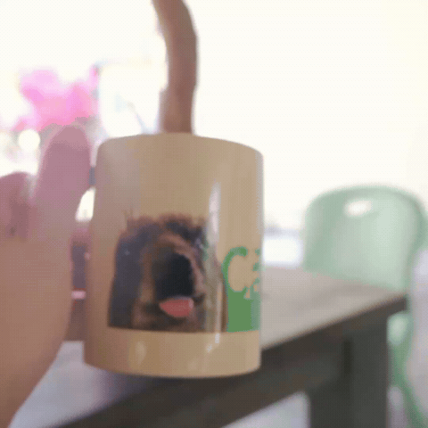 Surprise Reveal GIF