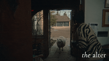 Go Away Move GIF by Swamp