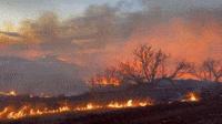 Texas Crews Battle Grass Fires