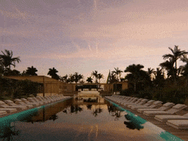 GIF by Z Advertising Group