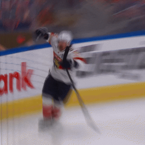 Celebrate Hell Yeah GIF by Florida Panthers