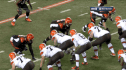 cincinnati bengals