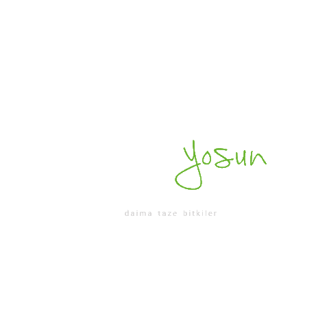 Dikey  Yosun Sticker