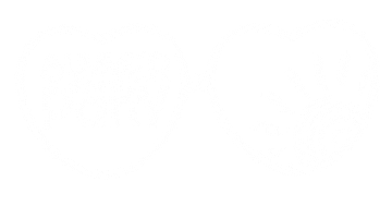 Summer Street Party Sticker by Visit LaGrange