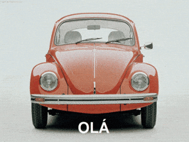 marcuscelestino  GIF