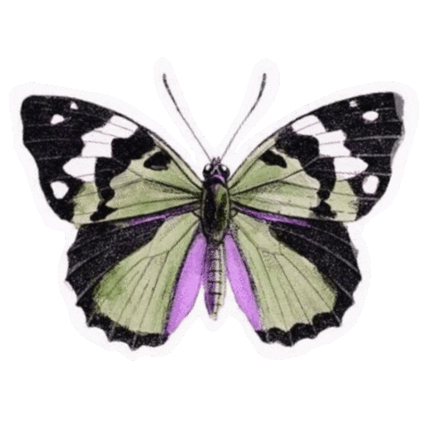 Nature Sticker