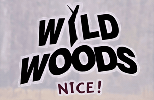 GIF by Holiday-Rental-Experts.com