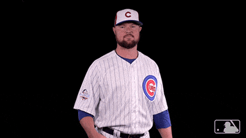 chicago cubs no GIF by MLB
