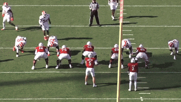 Nfl Draft GIF