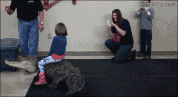 Eusereiseuguia GIF
