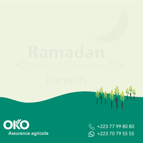 Ramadan Mali GIF by OKO Assurance