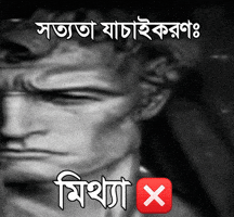 Fact Check Truth GIF