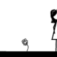 stick