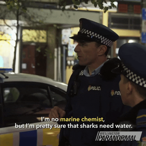 Comedy Shark GIF by Wellington Paranormal
