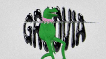 Groovia GIF by travel buggin