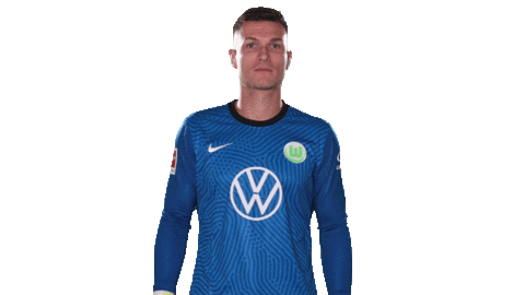Duftsticker Lufterfrischer Sticker VfL Wolfsburg 