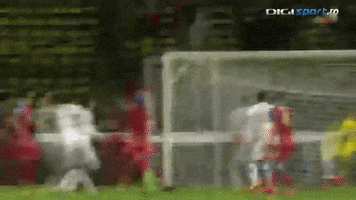 edi  GIF
