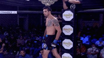 lightsoutxf mma fighting fighter warm up GIF