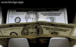 Make It Rain Money GIF by