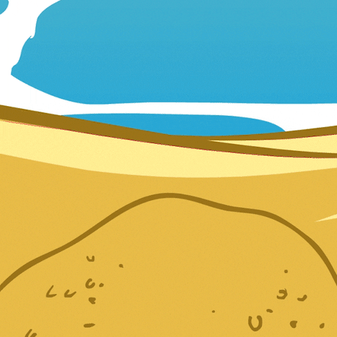 Happy Hermit Crab GIF 3