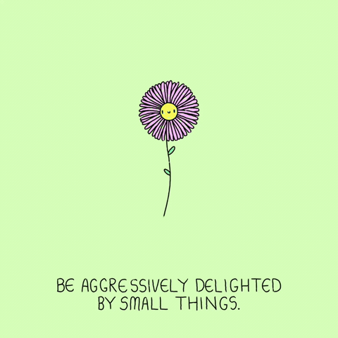 Happy Little Things GIF
