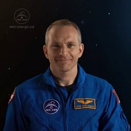 giphy.webp?cid=ecf05e47jznpqcv9py1jn2kcs