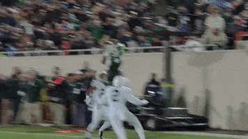 Cant Touch This College Football GIF by Michigan State Football
