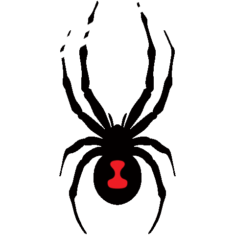 Spider Sticker by brandsuniverse_wony