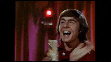 Happy Davy Jones GIF by The Monkees