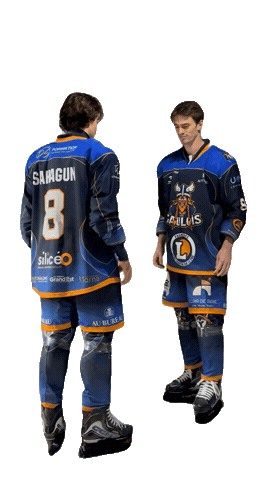 Celebration Goal Sticker by Hockey Club Châlonnais