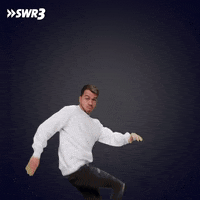 Side To Side Knockout GIF by SWR3