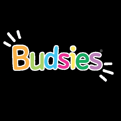 budsies budsies GIF