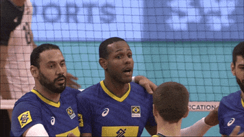 Celebrate United GIF by Volleyball World