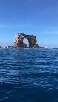 'The Last to See the Arch': Ocean Researchers Capture View of Darwin's Arch Before Its Collapse