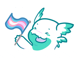 Trans Rights GIF by beastcoast
