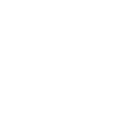 PATRIOT Rental Sticker