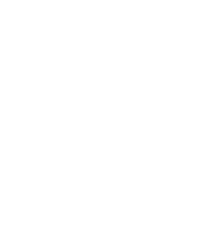 Accelere Sticker