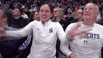 Get Hyped Pump Up GIF by Northwestern Athletics