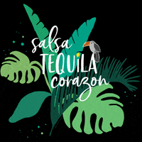 Corazon Tequila GIF by zartmintdesign