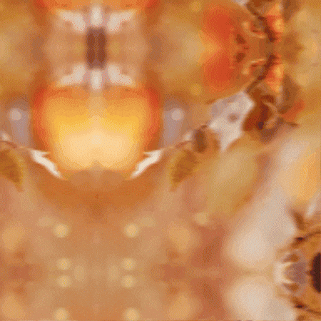 Fall Autumn GIF by TeaCosyFolk