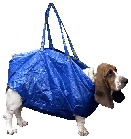 dog ikea bag