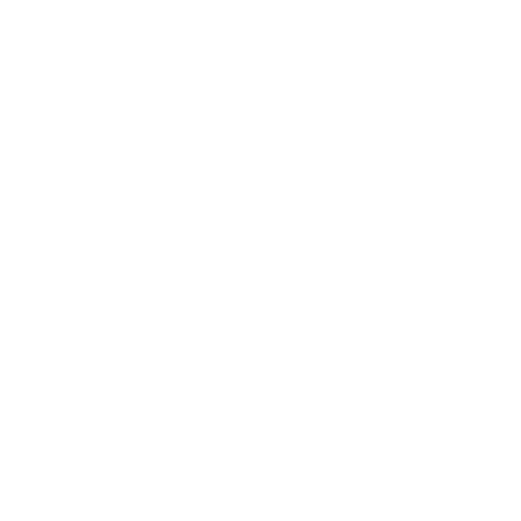 wallride Sticker