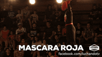lucha libre wrestling GIF by Luchando en las Américas